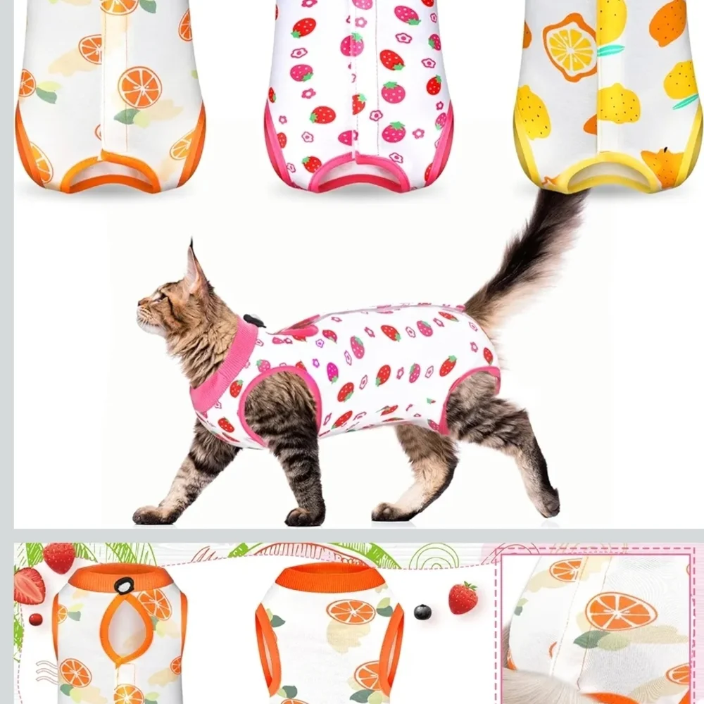 6 Colorful Fruit and Donut Print Recover Suits Cat Or Dog No Lick